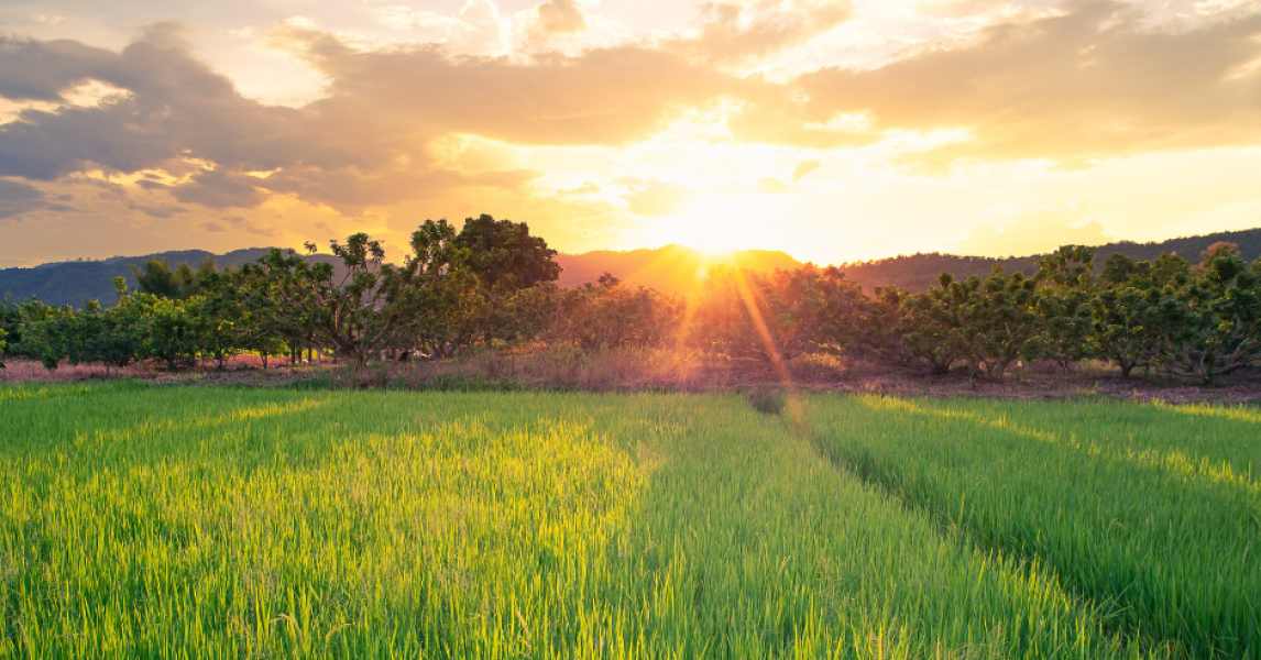 Foreign investors seeking to acquire an interest in Australian